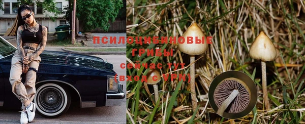 соль курить ск Инсар