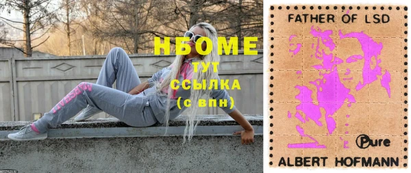 стафф Инта