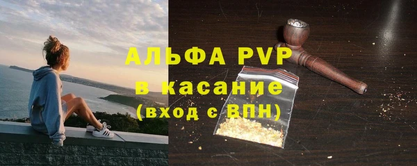 стафф Инта