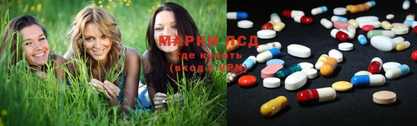 гидра Каменногорск
